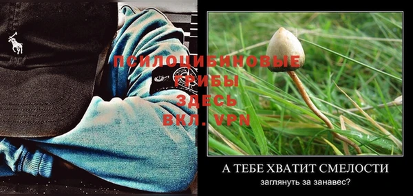 spice Абдулино